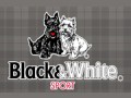 BLACK & WHITE（ブラック & ホワイト）
